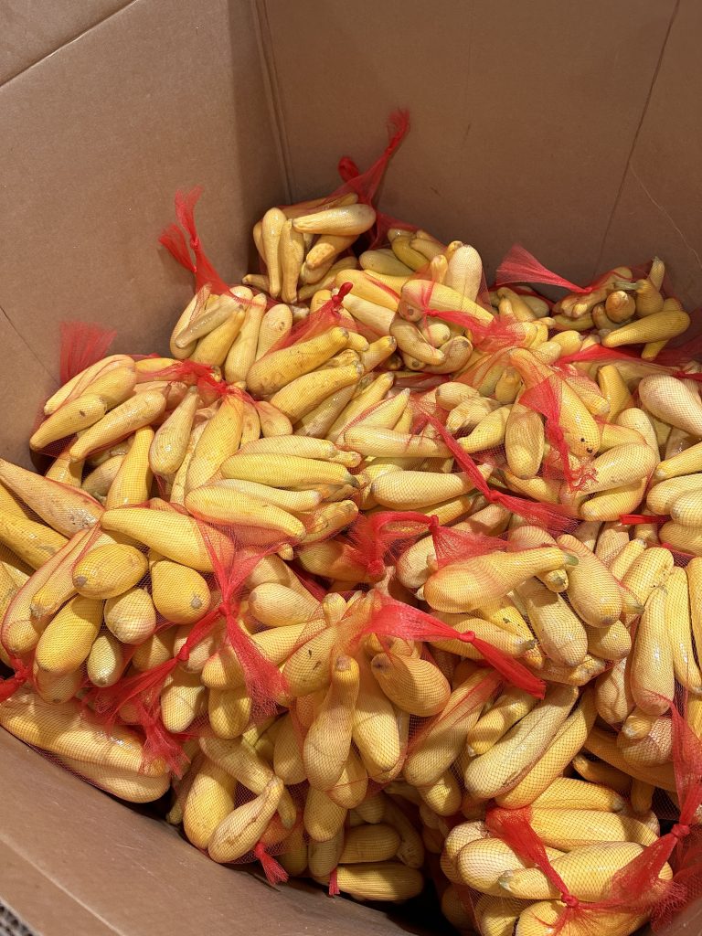 Food Bank of Central & Eastern North Carolina Squash Loaded by Volunteers